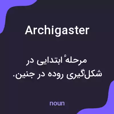 معنی archigaster به فارسی معنی archigaster به فارسی