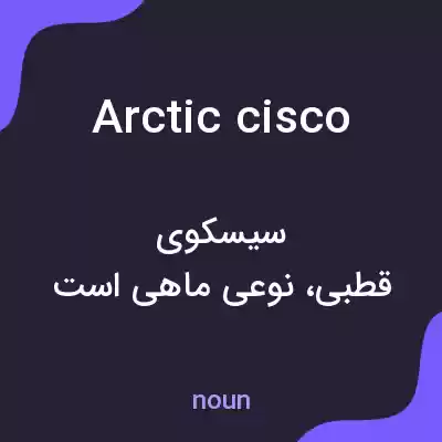 معنی arctic cisco به فارسی معنی arctic cisco به فارسی