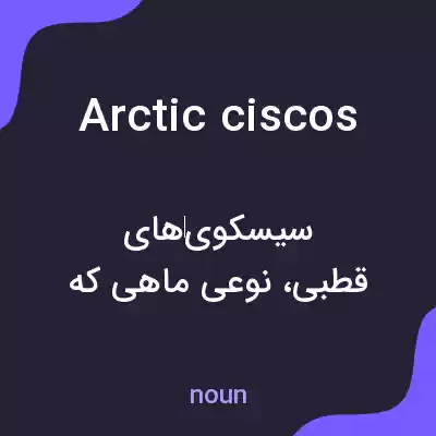 معنی arctic ciscos به فارسی معنی arctic ciscos به فارسی
