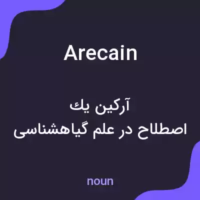 معنی arecain به فارسی معنی arecain به فارسی