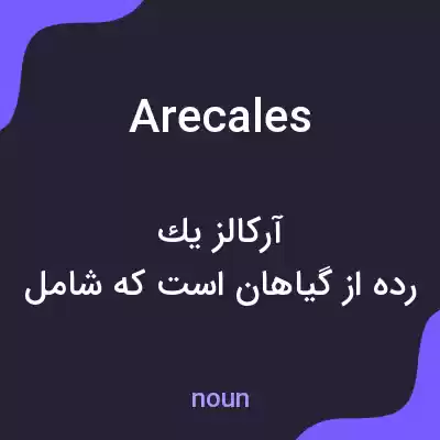 معنی arecales به فارسی