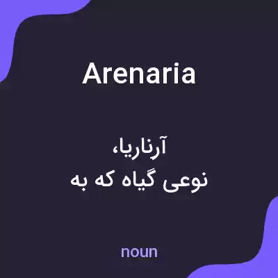 معنی arenaria به فارسی معنی arenaria به فارسی