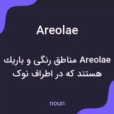معنی areolae به فارسی معنی areolae به فارسی