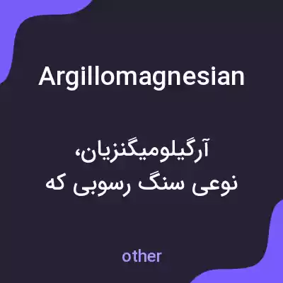 معنی argillomagnesian به فارسی معنی argillomagnesian به فارسی