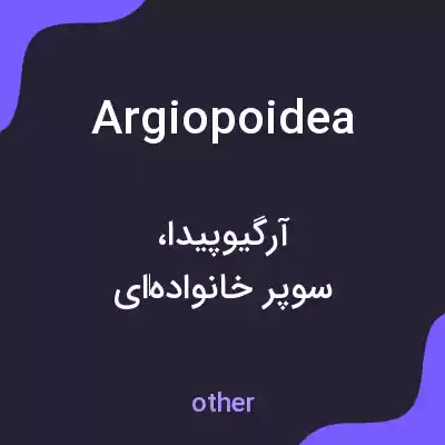 معنی argiopoidea به فارسی معنی argiopoidea به فارسی