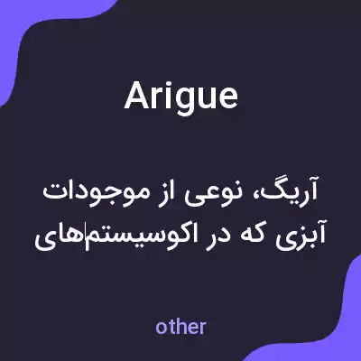 معنی arigue به فارسی معنی arigue به فارسی