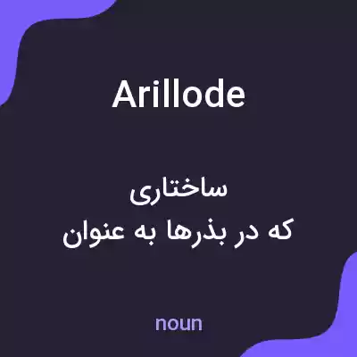 معنی arillode به فارسی