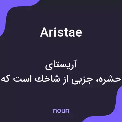 معنی aristae به فارسی معنی aristae به فارسی