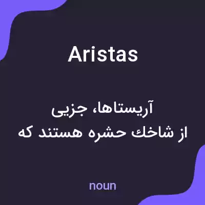 معنی aristas به فارسی معنی aristas به فارسی
