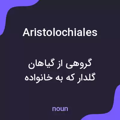 معنی aristolochiales به فارسی معنی aristolochiales به فارسی