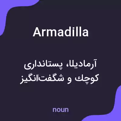 معنی armadilla به فارسی معنی armadilla به فارسی