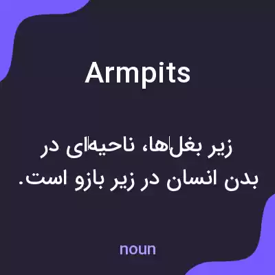 معنی armpits به فارسی معنی armpits به فارسی