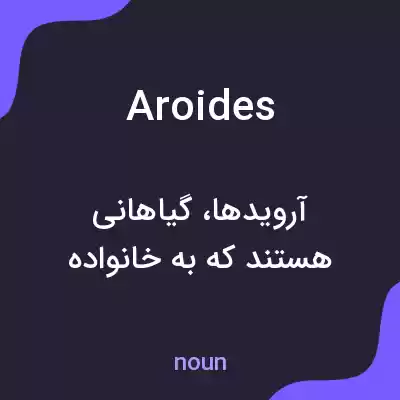 معنی aroides به فارسی معنی aroides به فارسی