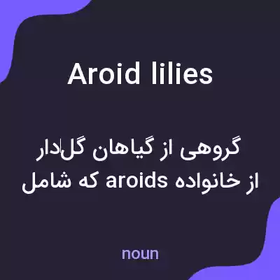 معنی aroid lilies به فارسی معنی aroid lilies به فارسی