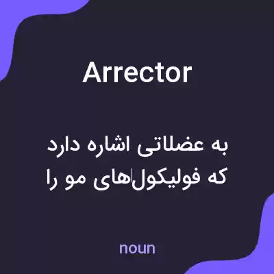 معنی arrector به فارسی معنی arrector به فارسی