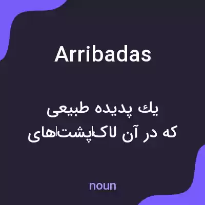 معنی arribadas به فارسی معنی arribadas به فارسی