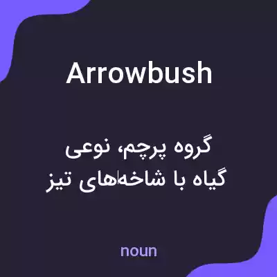 معنی arrowbush به فارسی معنی arrowbush به فارسی