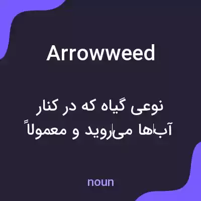 معنی arrowweed به فارسی معنی arrowweed به فارسی