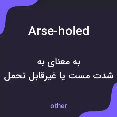معنی arse-holed به فارسی معنی arse-holed به فارسی