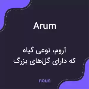 معنی arum به فارسی معنی arum به فارسی