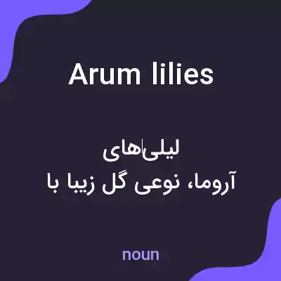 معنی arum lilies به فارسی معنی arum lilies به فارسی