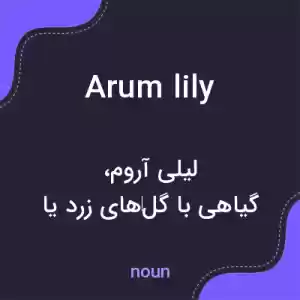 معنی arum lily به فارسی معنی arum lily به فارسی