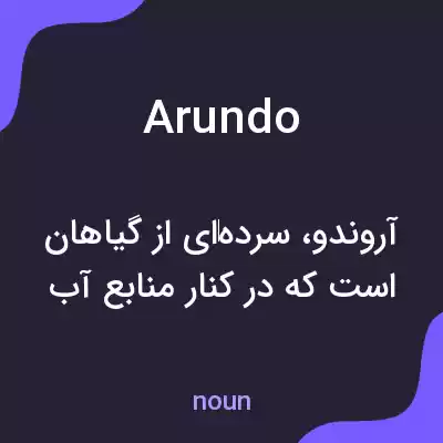 معنی arundo به فارسی معنی arundo به فارسی