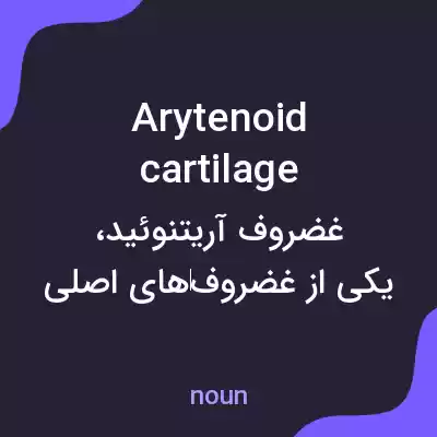 معنی arytenoid cartilage به فارسی معنی arytenoid cartilage به فارسی
