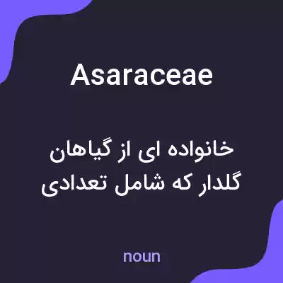 معنی asaraceae به فارسی معنی asaraceae به فارسی