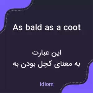معنی as bald as a coot به فارسی معنی as bald as a coot به فارسی