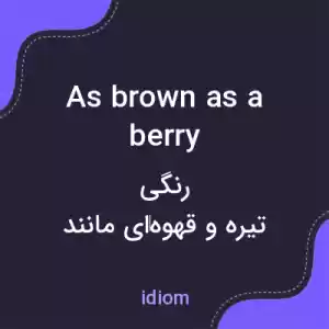 معنی as brown as a berry به فارسی معنی as brown as a berry به فارسی