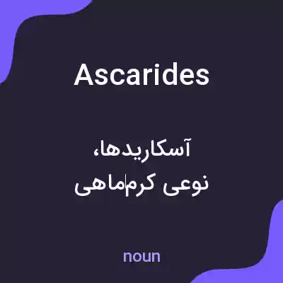 معنی ascarides به فارسی معنی ascarides به فارسی