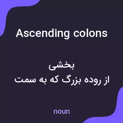 معنی ascending colons به فارسی معنی ascending colons به فارسی