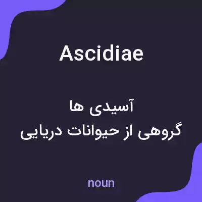 معنی ascidiae به فارسی معنی ascidiae به فارسی