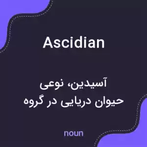 معنی ascidian به فارسی معنی ascidian به فارسی
