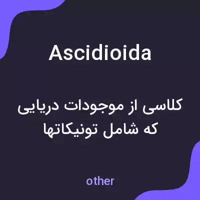 معنی ascidioida به فارسی معنی ascidioida به فارسی