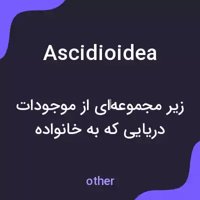 معنی ascidioidea به فارسی معنی ascidioidea به فارسی