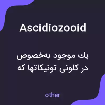 معنی ascidiozooid به فارسی معنی ascidiozooid به فارسی