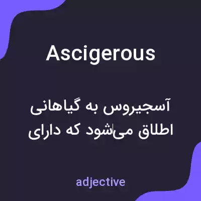 معنی ascigerous به فارسی معنی ascigerous به فارسی