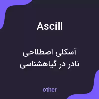 معنی ascill به فارسی معنی ascill به فارسی