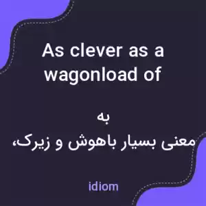 معنی as clever as a wagonload of monkeys به فارسی معنی as clever as a wagonload of monkeys به فارسی