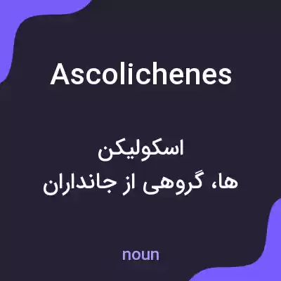 معنی ascolichenes به فارسی