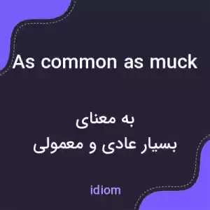معنی as common as muck به فارسی