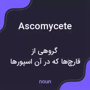 معنی ascomycete به فارسی