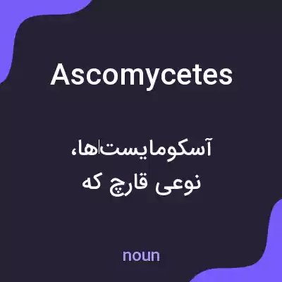 معنی ascomycetes به فارسی