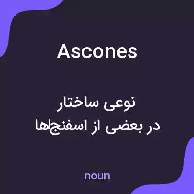 معنی ascones به فارسی معنی ascones به فارسی