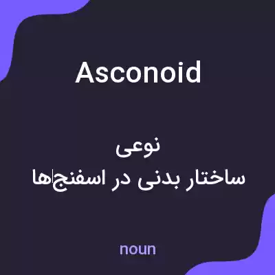 معنی asconoid به فارسی معنی asconoid به فارسی