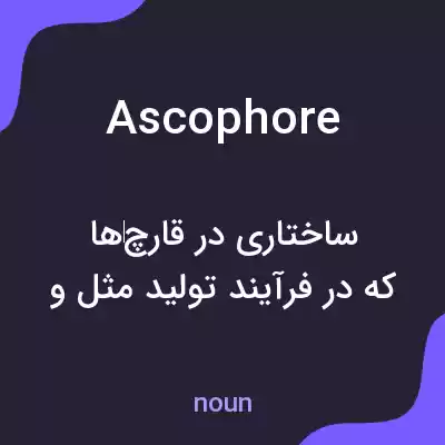 معنی ascophore به فارسی معنی ascophore به فارسی