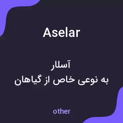معنی aselar به فارسی معنی aselar به فارسی