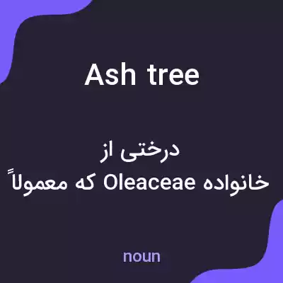 معنی ash tree به فارسی